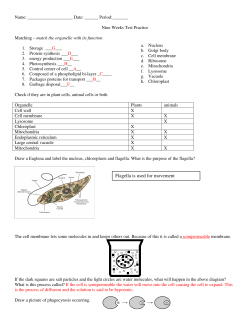 Flagella is used for movement