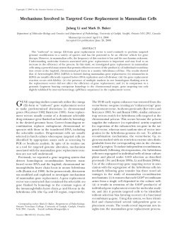 Mechanisms Involved in Targeted Gene Replacement in