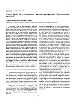Energy Supply for ATP-Synthase Deficient Chloroplasts of