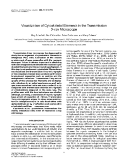 Visualization of Cytoskeletal Elements in the Transmission X