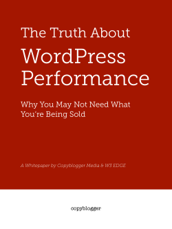 The Truth About WordPress Performance