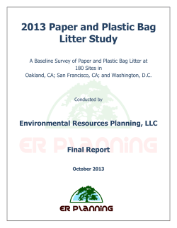 2013 Paper and Plastic Bag Litter Study