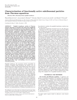 Characterization of functionally active subribosomal particles from