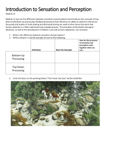Introduction to Sensation and Perception