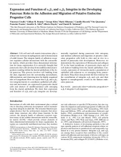Expression and Function of v 3 and v 5 Integrins in the Developing
