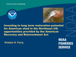 Investing in long term restoration potential for American shad in the