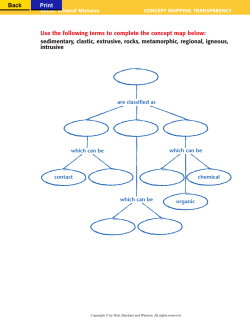 Use the following terms to complete the concept map below