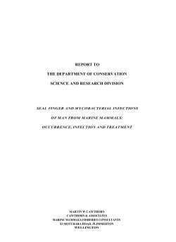 Seal finger and mycobacterial infections of man from marine mammals