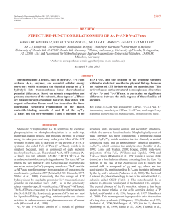 A1-, F1- and V1-ATPases - Journal of Experimental Biology