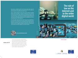 The Rule of Law on the Internet and in the Wider Digital World