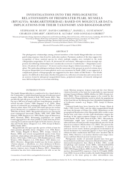JMS 70_4 379-388 eyh043 FINAL