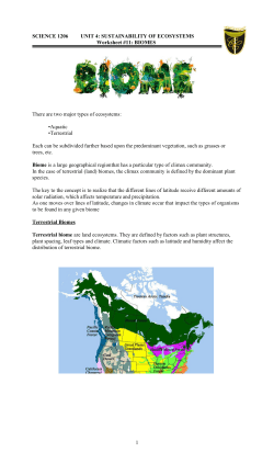 SCIENCE 1206 UNIT 4 - Mr. Fifield`s Corner