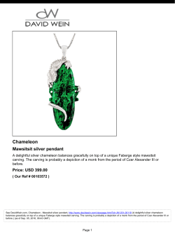 Chameleon - David Wein