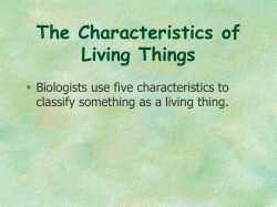 The Characteristics of Living Things