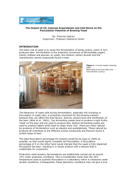 The Impact of CO2 Induced Anaerobiosis and Cold Shock on the