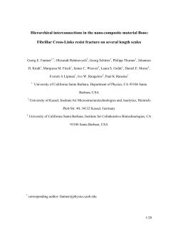 Interconnection of Mineralized Collagen Fibrils in Bone by a non