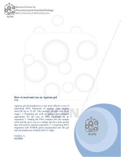 How to load and run an Agarose gel