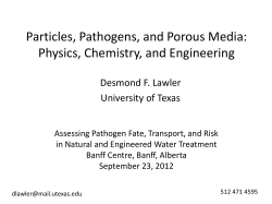 Particles, Pathogens, and Porous Media: Physics, Chemistry, and