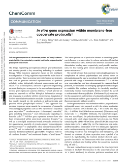 In vitro gene expression within membrane