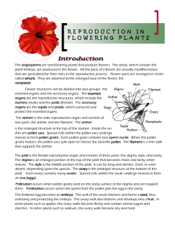 Flower Dissection.pub