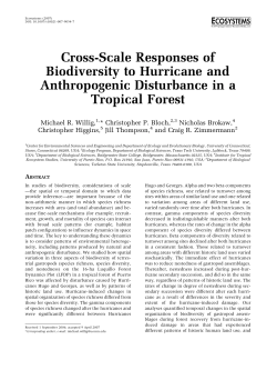 Cross-Scale Responses of Biodiversity to Hurricane and