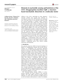 Elements in nucleotide sensing and hydrolysis of the AAA+