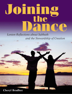 Lenten Reflections about Sabbath and the Stewardship of Creation