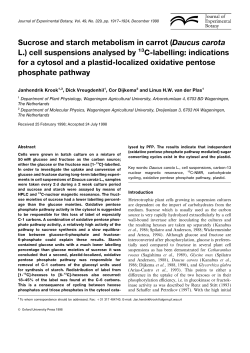 Sucrose and starch metabolism in carrot (Daucus