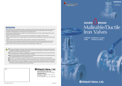 Malleable/Ductile Iron Valves