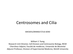 Centrosomes and Cilia