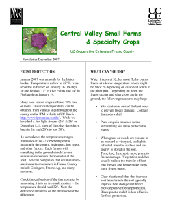 December 2007 Newsletter - Freeze Protection