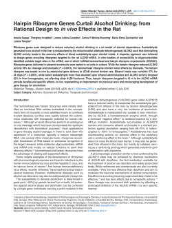 Hairpin Ribozyme Genes Curtail Alcohol Drinking