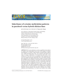 Inheritance of cytosine methylation patterns in purebred versus