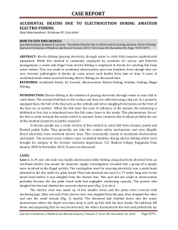 accidental deaths due to electrocution during amateur electro