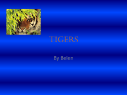 TIGERS