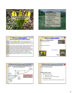 Freshwater Wetlands in the Northwest What are WETLANDS? What