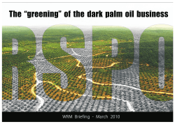 RSPO: The &ldquo;greening&rdquo;