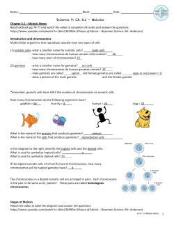 KEY - Science with Ms. Wood!