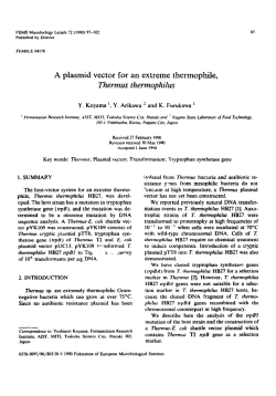 A plasmid vector for an extreme thermophile, Thermus thermophilus