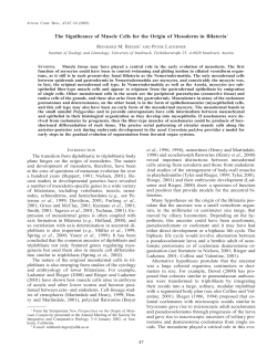 The Significance of Muscle Cells for the Origin of