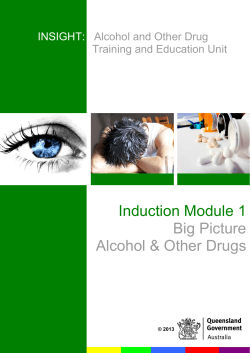 Alcohol and Other Drug