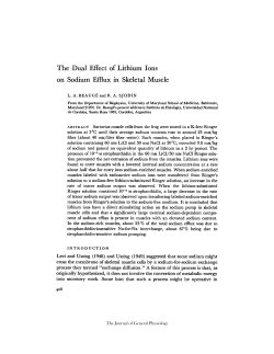 The Dual Effect of Lithium Ions on Sodium Efflux in