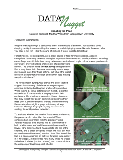 Student activity, Graph Type A, Level 2