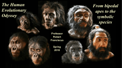 The Human Evolutionary Odyssey From bipedal apes to the