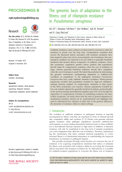 The genomic basis of adaptation to the fitness cost of rifampicin
