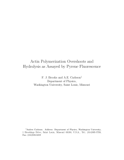 Actin Polymerization Overshoots and Hydrolysis as Assayed by