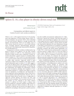 In Focus Spleen IL-10, a key player in obesity