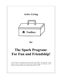 The Spark Program: For Fun and Friendship!