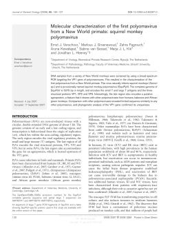 squirrel monkey polyomavirus - Journal of General Virology