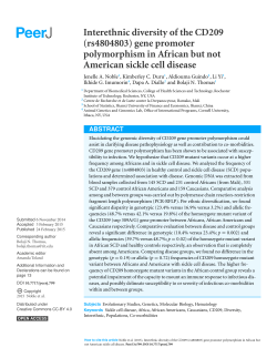 Interethnic diversity of the CD209 (rs4804803) gene promoter